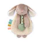 Billie the Bunny -  Itzy Ritzy Itzy Friends Lovey™ Plush Toy