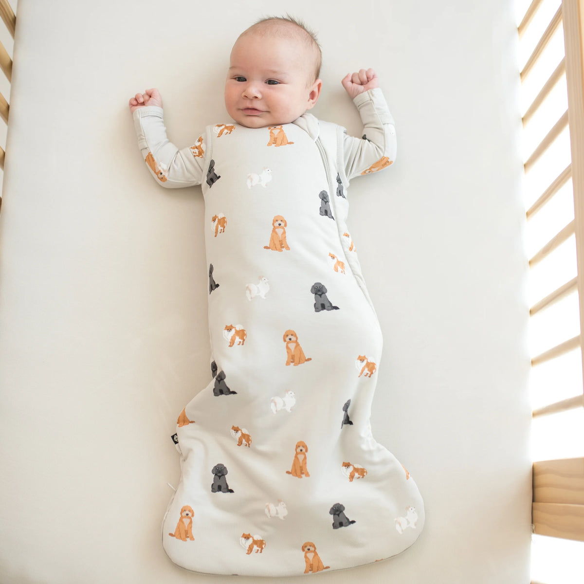 Kyte BABY 1.0 TOG Sleep Bag Fluffy Dog - Lifestyle