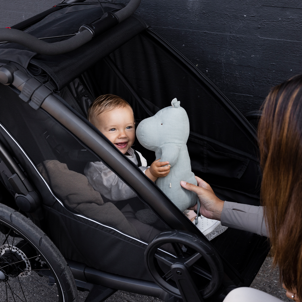 Thule Chariot Sport 2 Double Multisport Bike Trailer Lifestyle 1