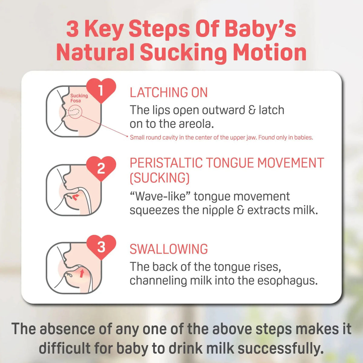 3 Key Steps - Pigeon PPSU Bottle - 8oz with M/3M+ Nipple/Stage 3