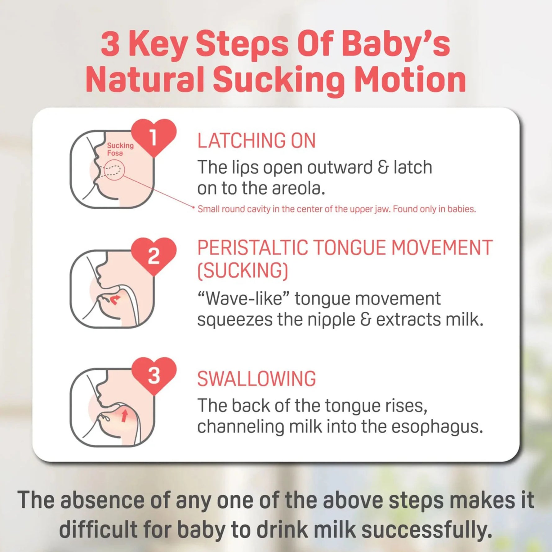 3 Key Steps - Pigeon PPSU Bottle - 8oz with M/3M+ Nipple/Stage 3