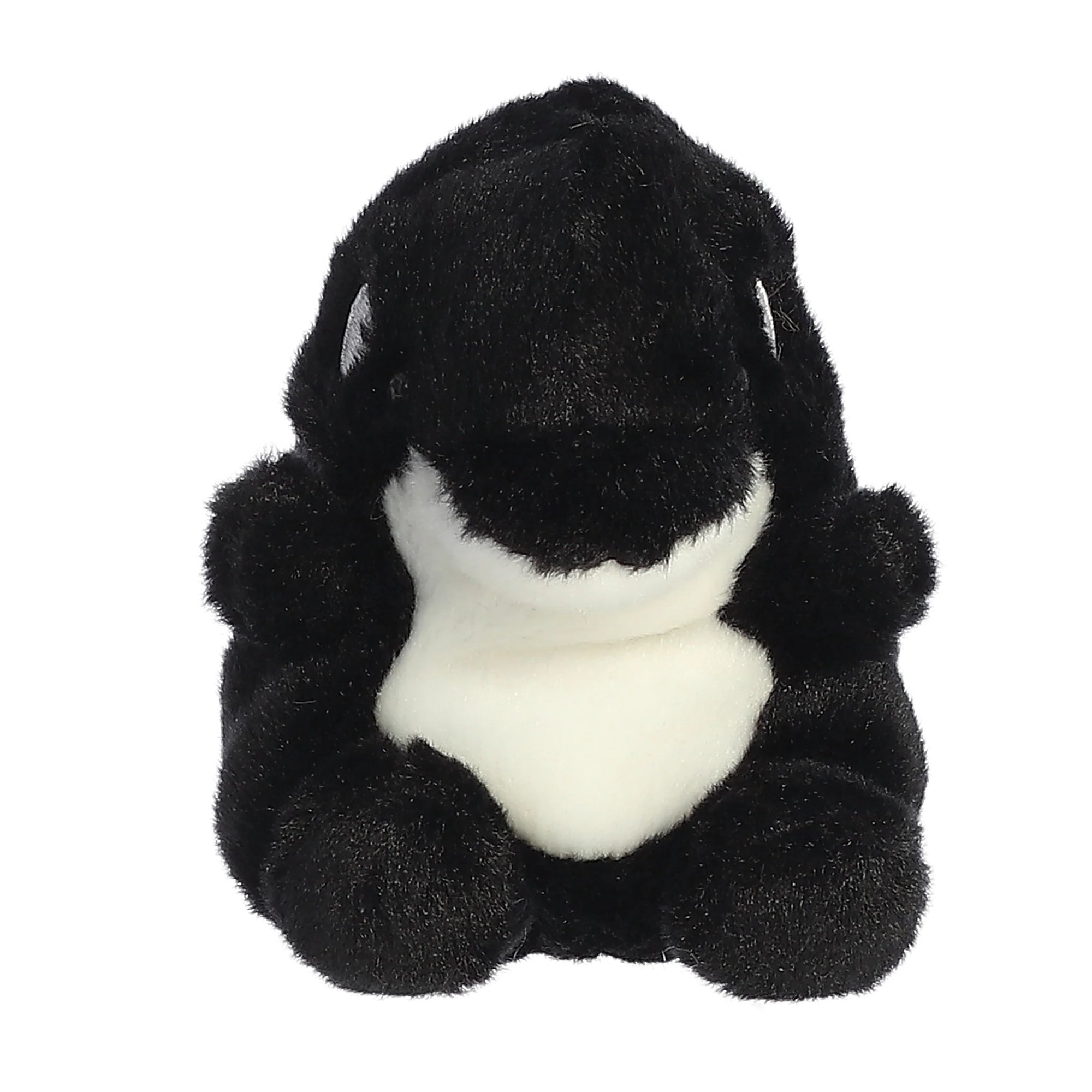 Palm Pals Plush - Juneau Orca