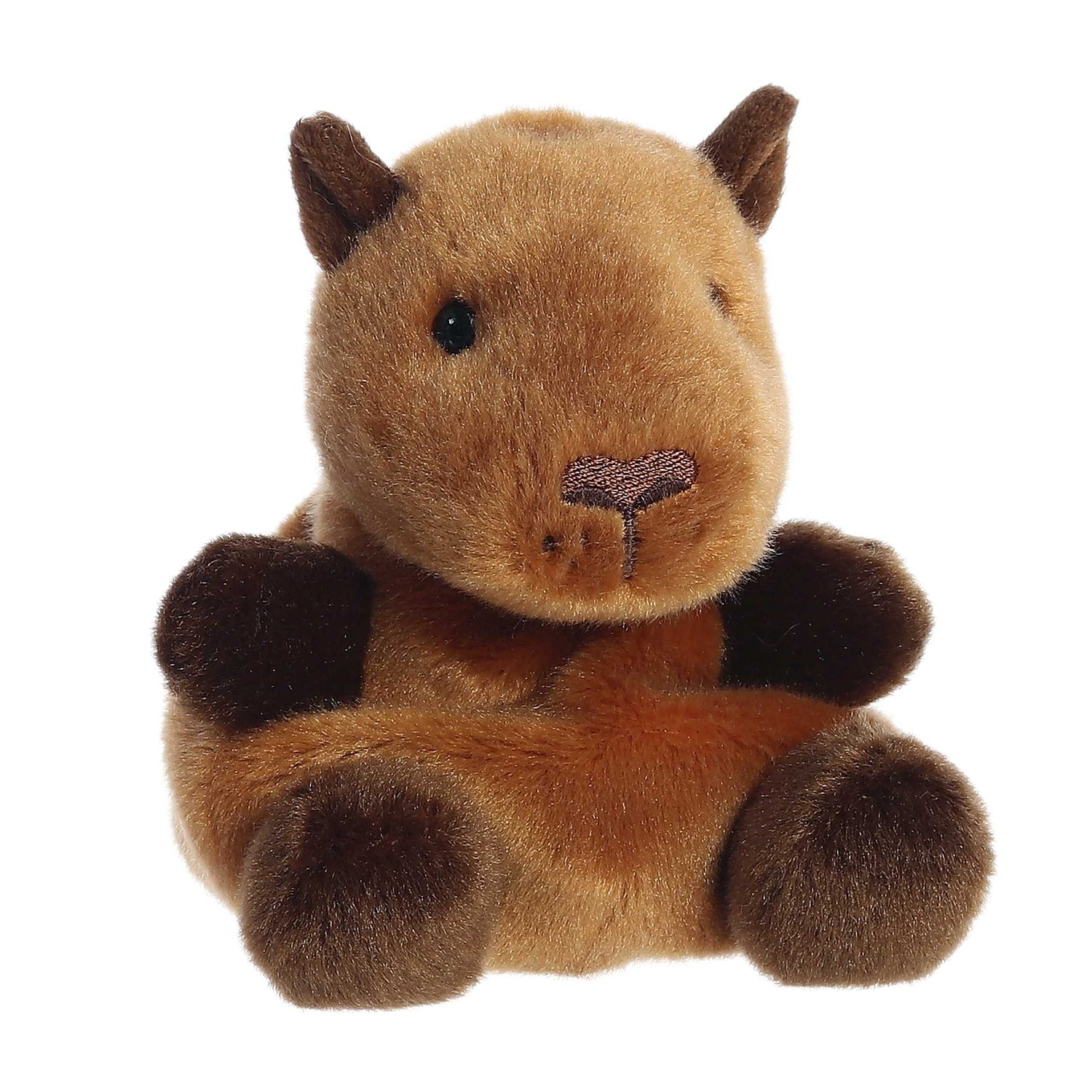Palm Pals Plush - Sid Capybara Angle