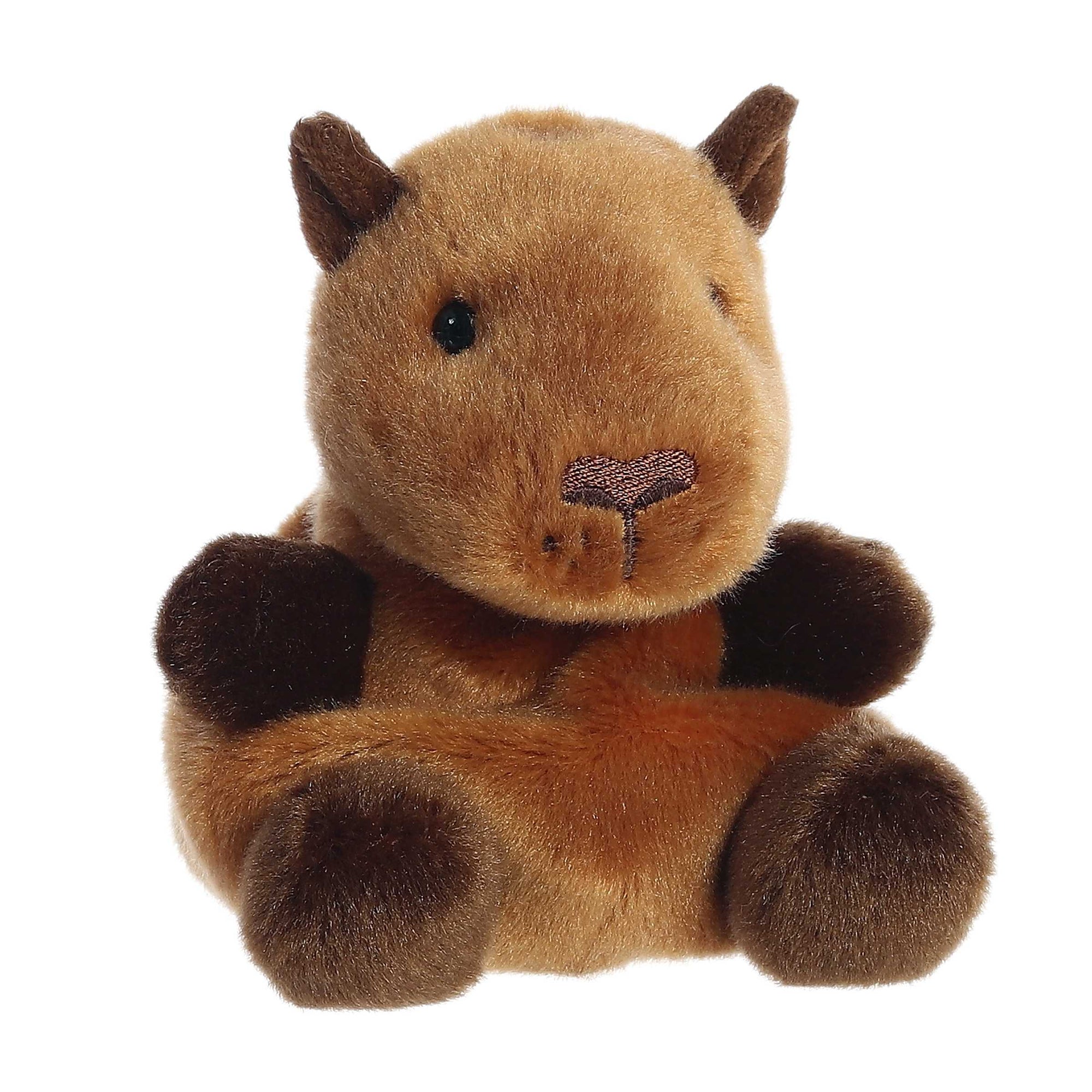 Palm Pals Plush - Sid Capybara