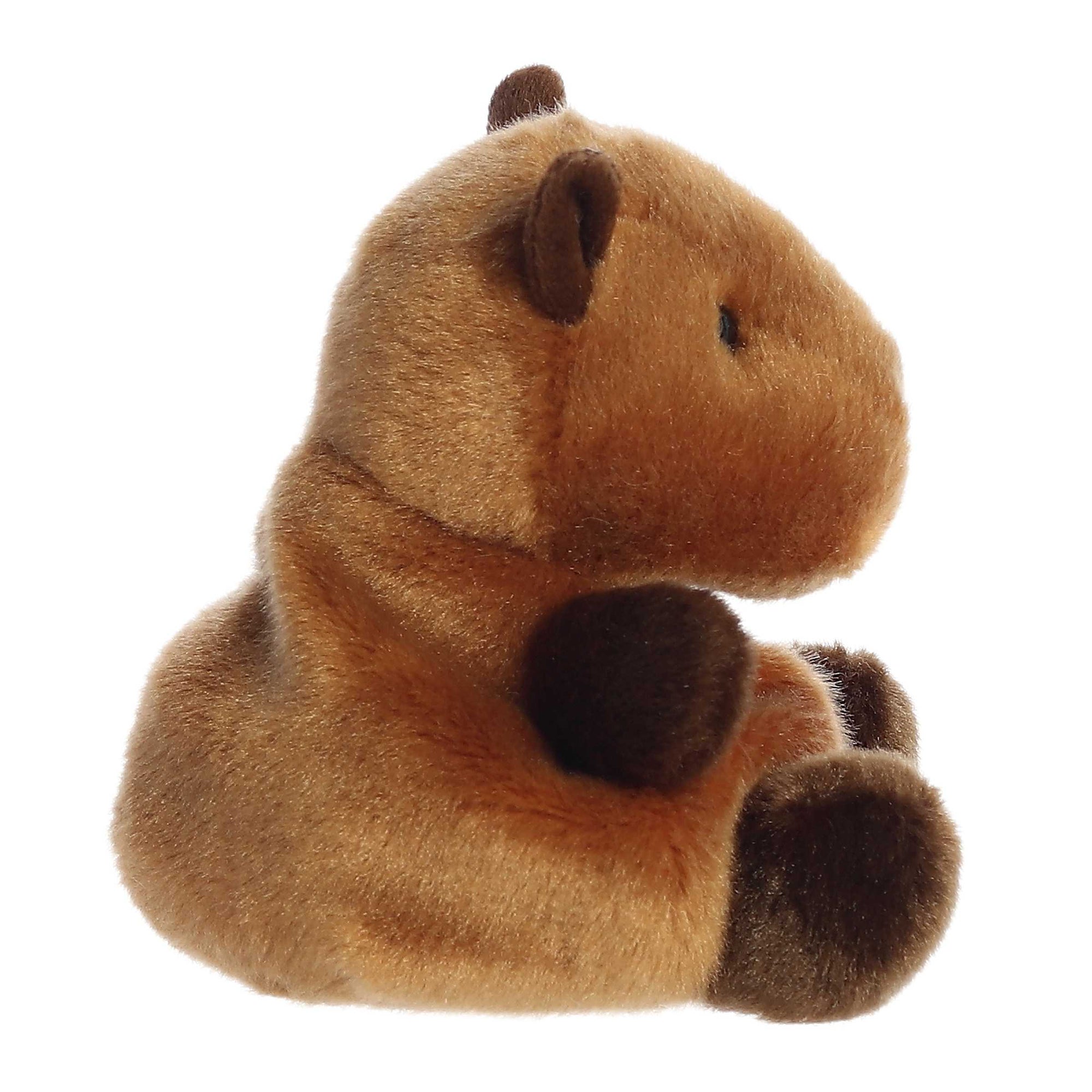 Palm Pals Plush - Sid Capybara Side View