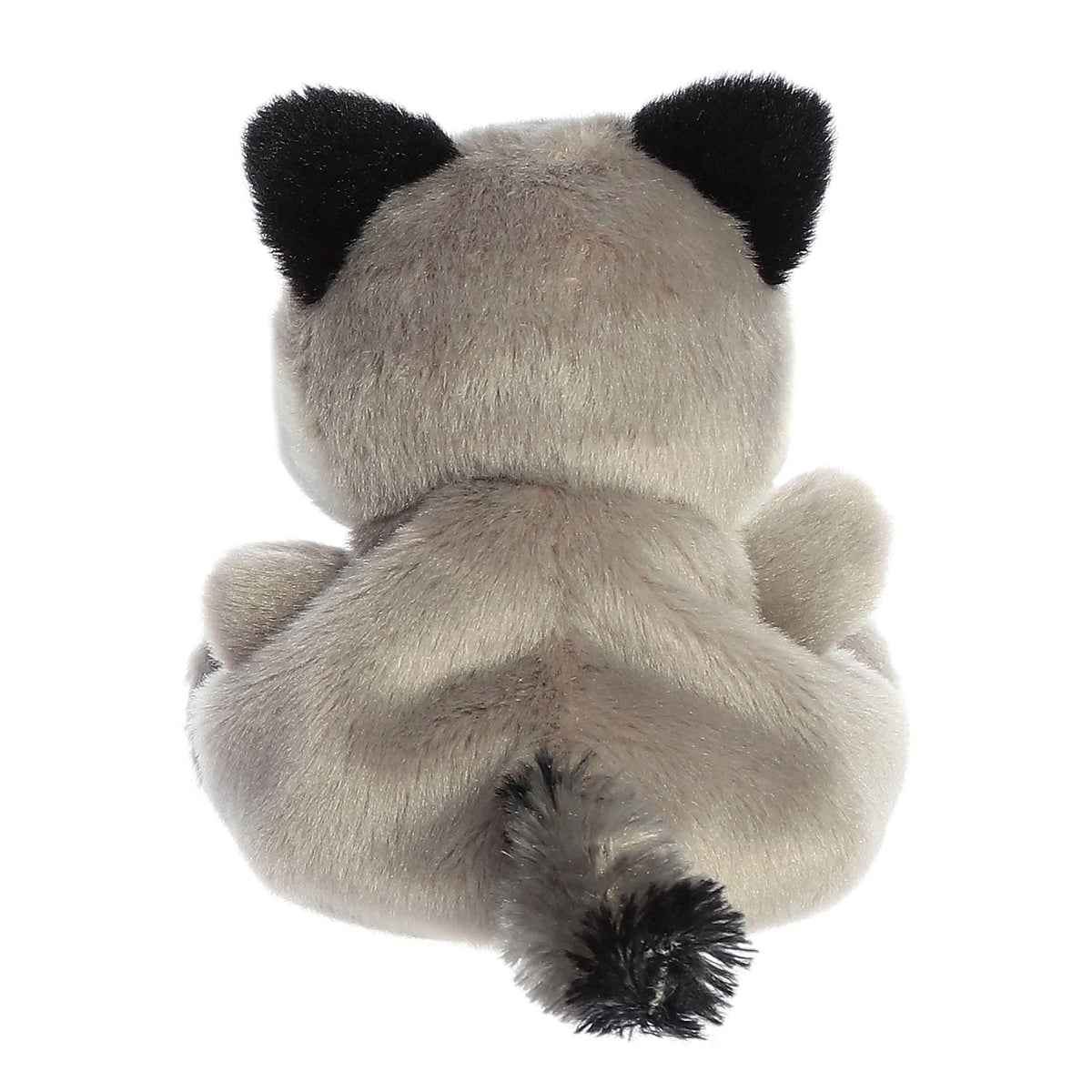 Palm Pals Plush - Rascal Raccoon Back View