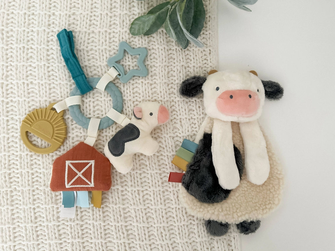 Itzy Ritzy Bitzy Busy Gift Set Lifestyle 2