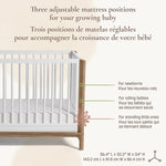 Little Seeds Laurel Island 4-in-1 Convertible Crib Three Mattress Heights