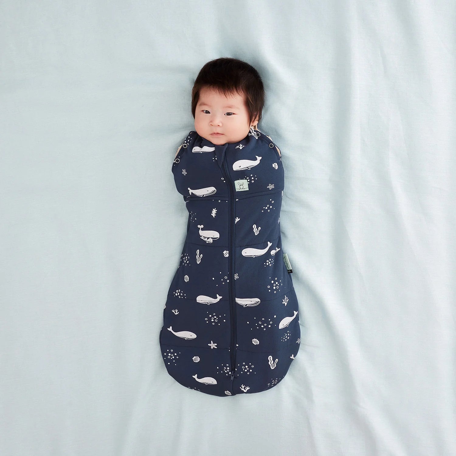 ErgoPouch Cocoon Swaddle Bag 1.0 TOG - Whales