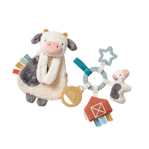 Itzy Ritzy Bitzy Busy Gift Set