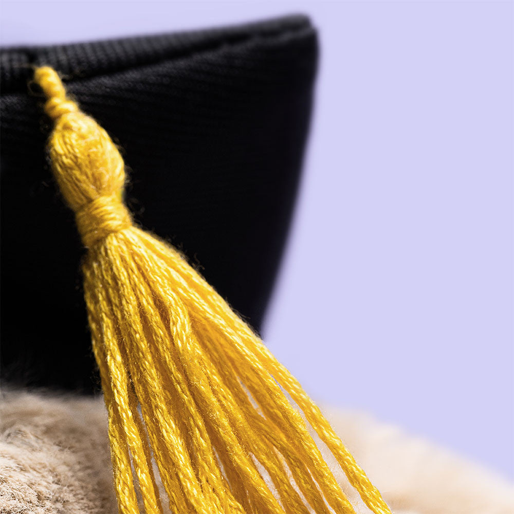 Jellycat Bashful Bunny Graduation Outfit - Graduation Hat Detail Tassel