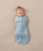 ErgoPouch Cocoon Swaddle Bag 1.0 TOG - Dragonflies Arms In