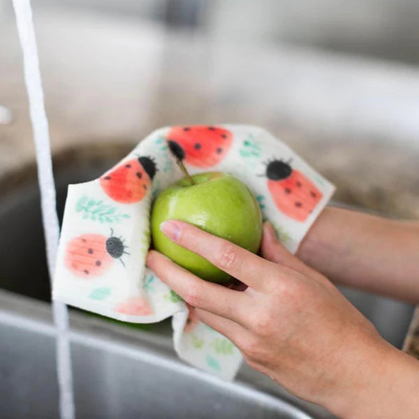 Colibri Canada Reusable Sponge Cloths 4 PK - In the Garden Lifestyle 3
