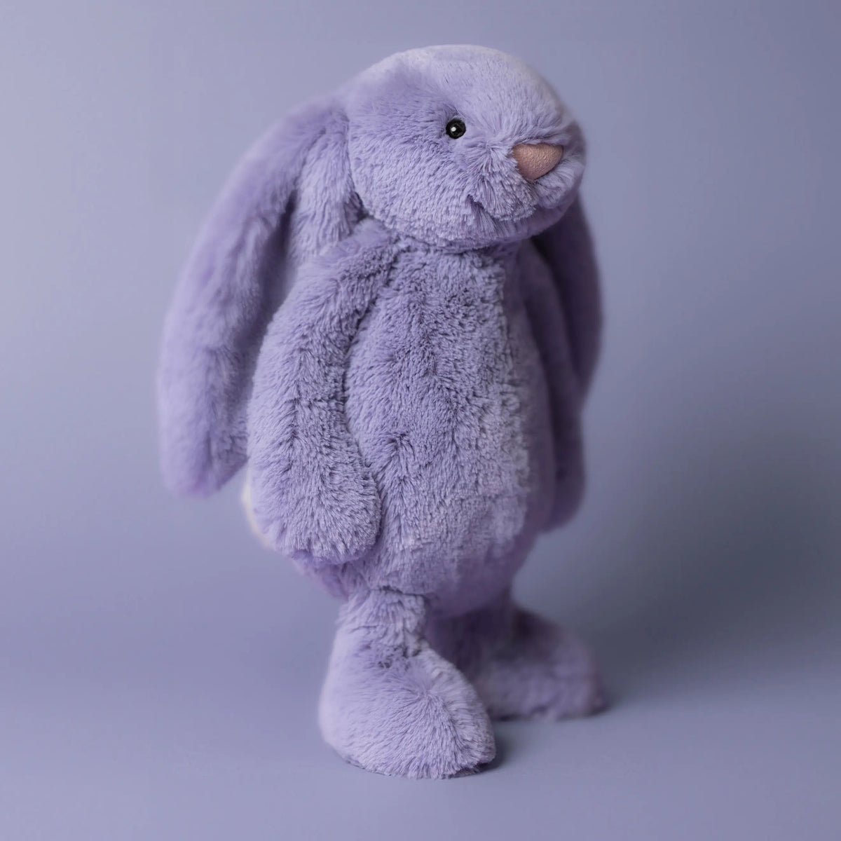 Jellycat Bashful Viola Bunny - Standing Lifestyle