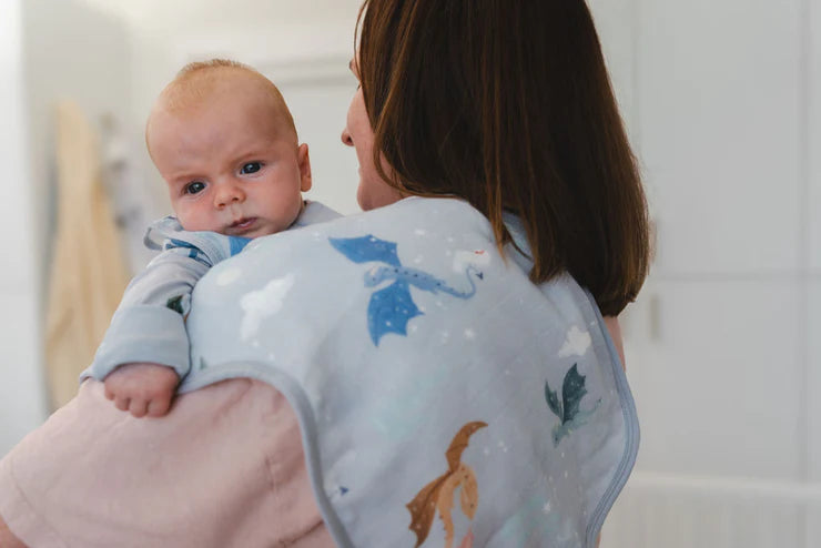 Loulou Lollipop Burp Cloth Set - Magical Dragons