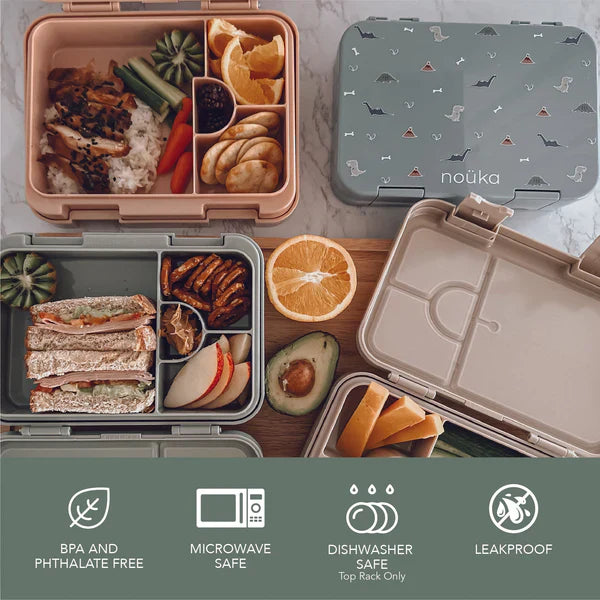 Noüka Bento Lunch Box - Features