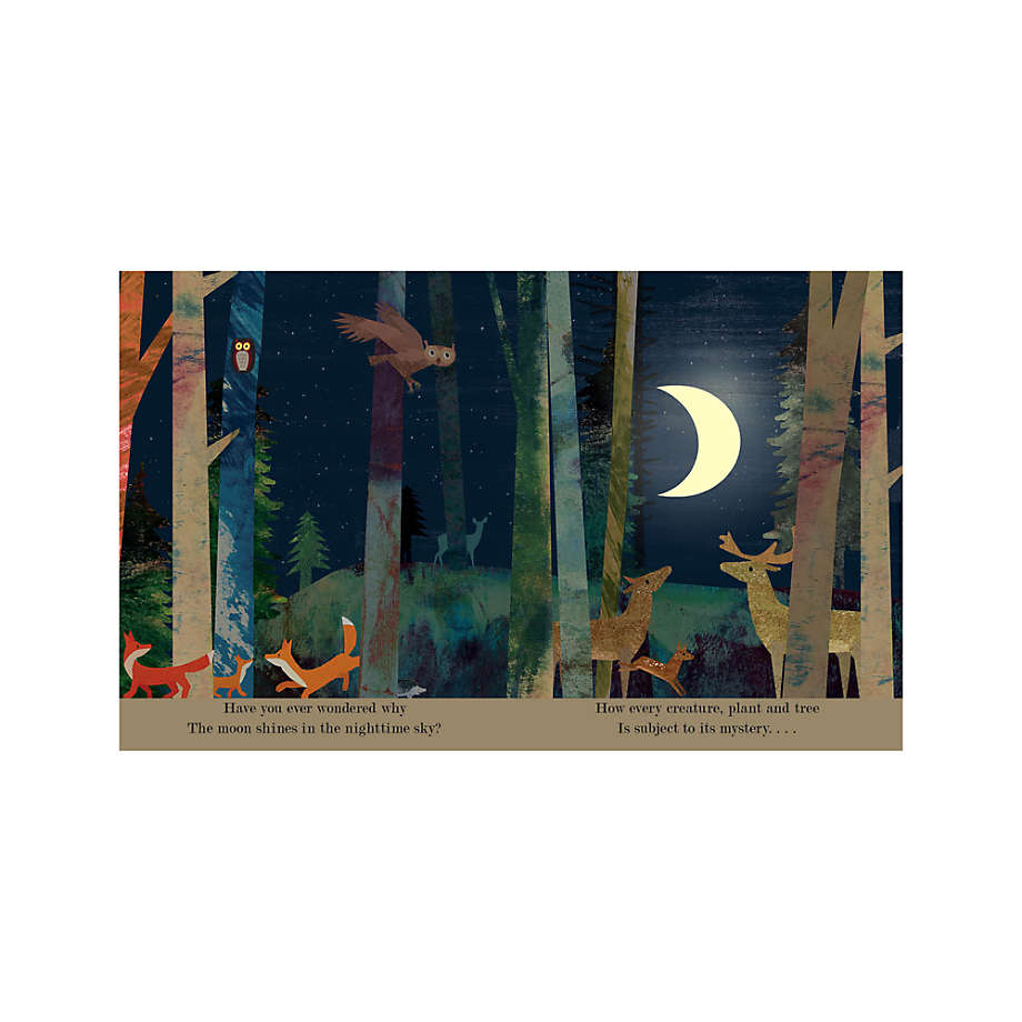 Moon: A Peek-Through Board Book Look Inside