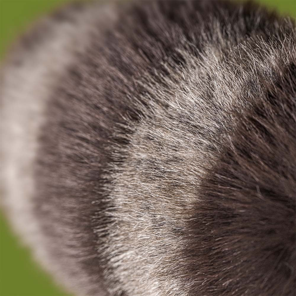 Jellycat Trixiwoo Raccoon - Tail Detail
