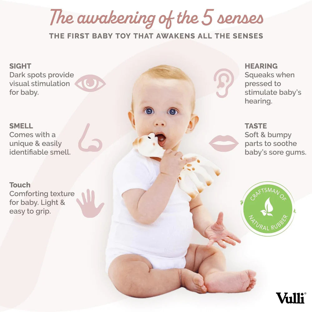 Sophie the Giraffe So'Pure Original Natural Rubber Teether Features 1