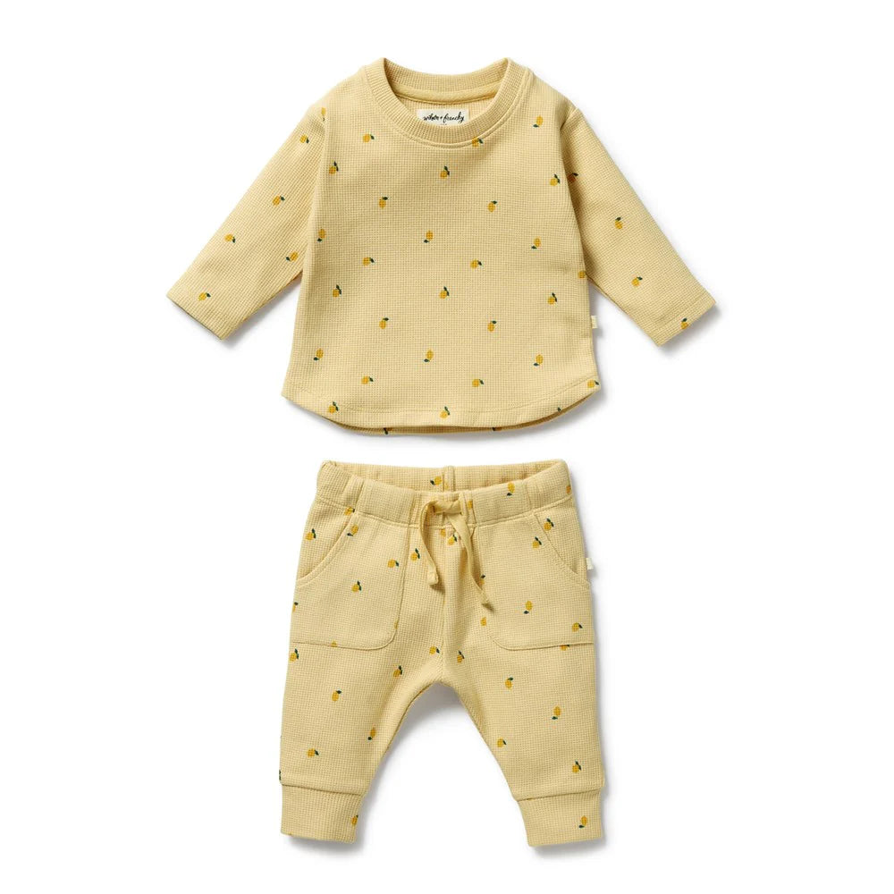 Wilson + Frenchy Organic Waffle Set - Little Lemon