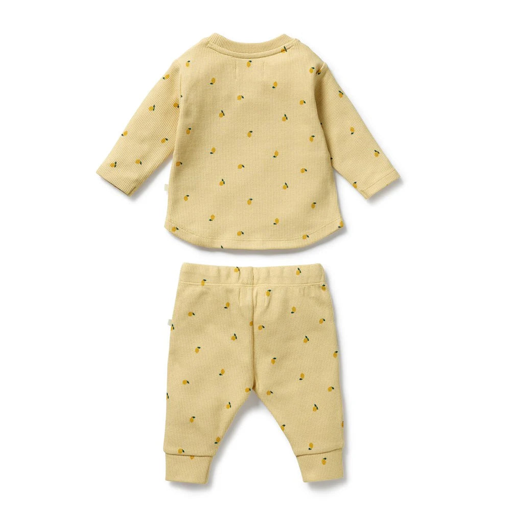 Wilson + Frenchy Organic Waffle Set - Little Lemon