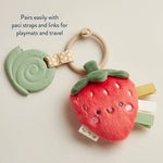 Itzy Ritzy Itzy Pal Plush with Teether - Features 2