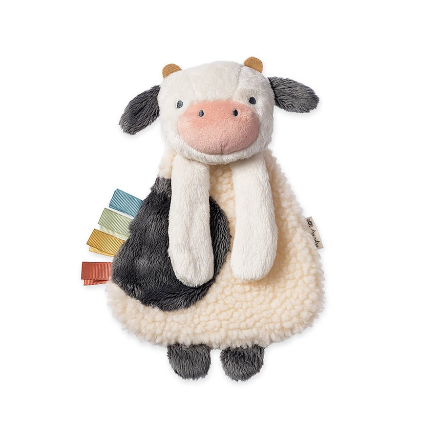 Itzy Ritzy Bitzy Busy Gift Set - Lovey