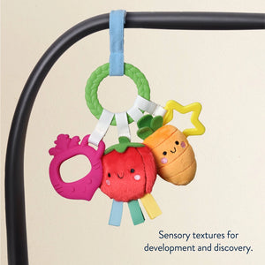 Itzy Ritzy Bitzy Busy Ring Teething Activity Toy - Sensory Textures