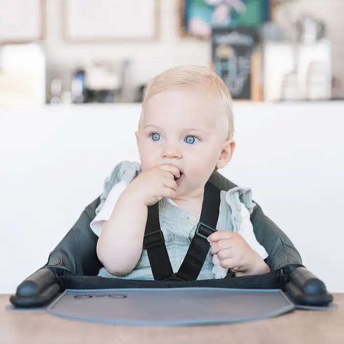Guzzie + Guss Perch Silicone Placemat - Grey Lifestyle 1