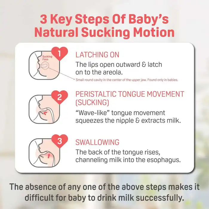 Pigeon Glass Bottle Key Steps of Natural Sucking Motion
