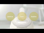 Pigeon Glass Bottle Feature Video