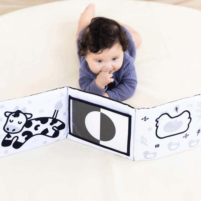 Pearhead Developmental Toys Learning Set - 0-6 Months Lifestyle 1