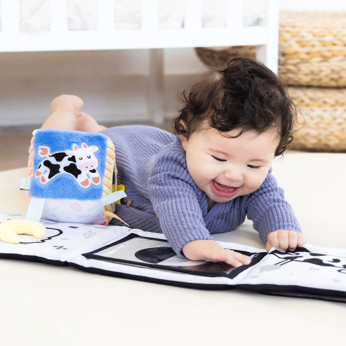 Pearhead Developmental Toys Learning Set - 0-6 Months Lifestyle 3