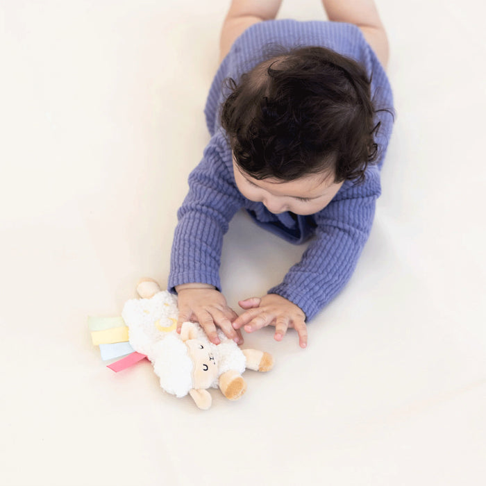 Pearhead Developmental Toys Learning Set - 0-6 Months Lifestyle 4