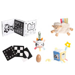Pearhead Developmental Toys Learning Set - 0-6 Months