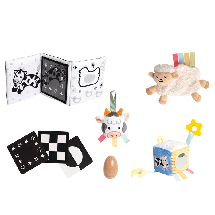 Pearhead Developmental Toys Learning Set - 0-6 Months