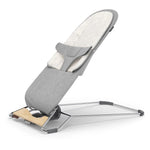 UPPAbaby Mira 2-in-1 Bouncer Angle Reversible Seat
