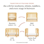 Babyletto crib Babyletto Yuzu 8-in-1 Convertible Crib with All-Stages Conversion Kits