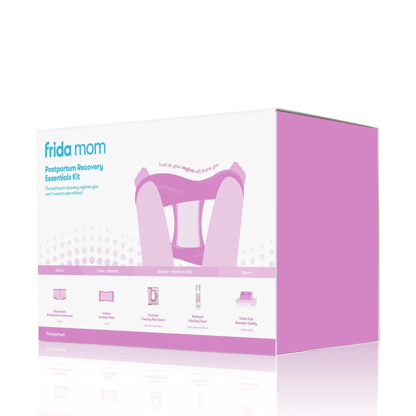 Frida underwear Frida Mom Postpartum Recovery Essentials Kit