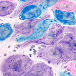 Happy Hippo Bath bubble bath Happy Hippo Mini Bubble Bombs - Gumdrop