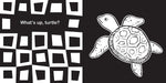 Raincoast Books board book Hello, Ocean Friends: A High-Contrast Board Book