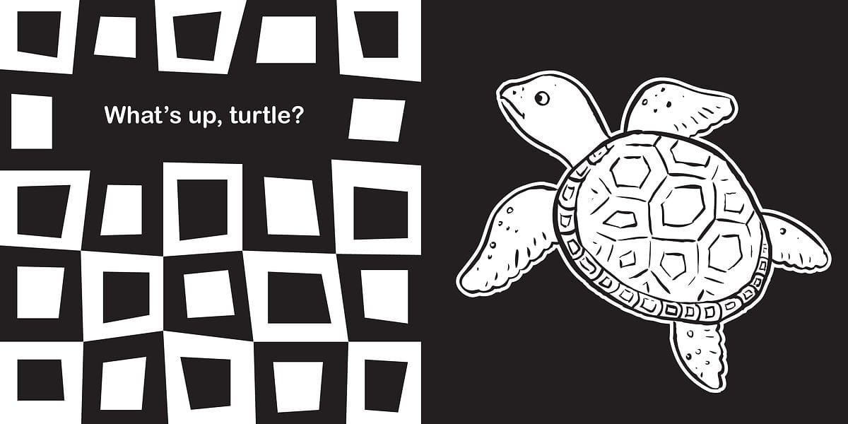 Raincoast Books board book Hello, Ocean Friends: A High-Contrast Board Book