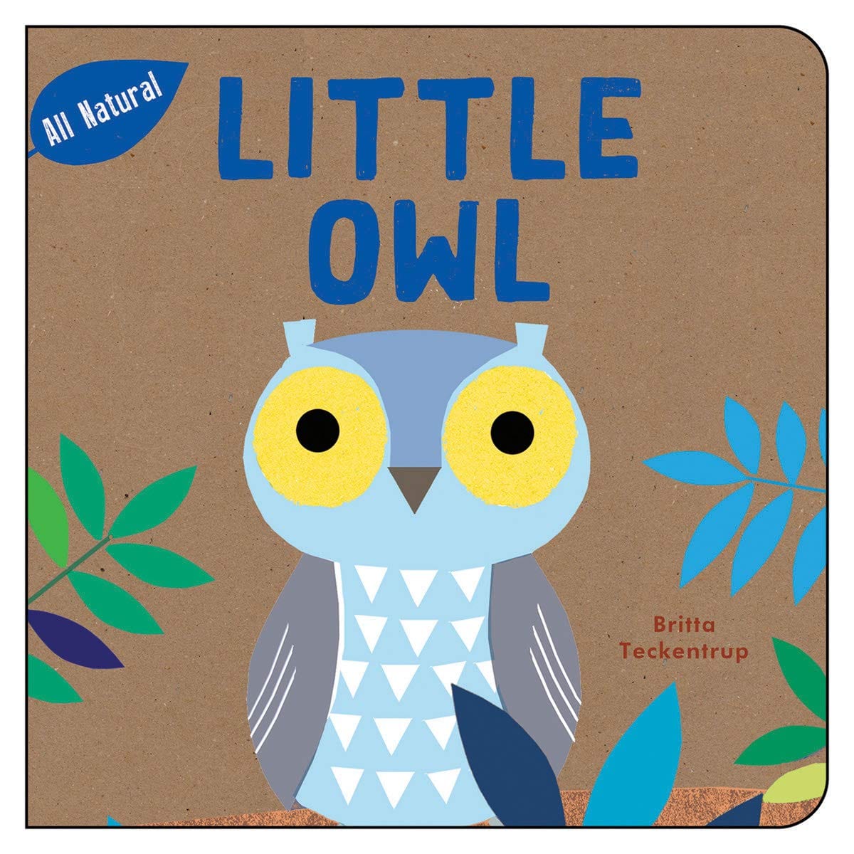 Raincoast Books board book Little Owl All Natural Board Book