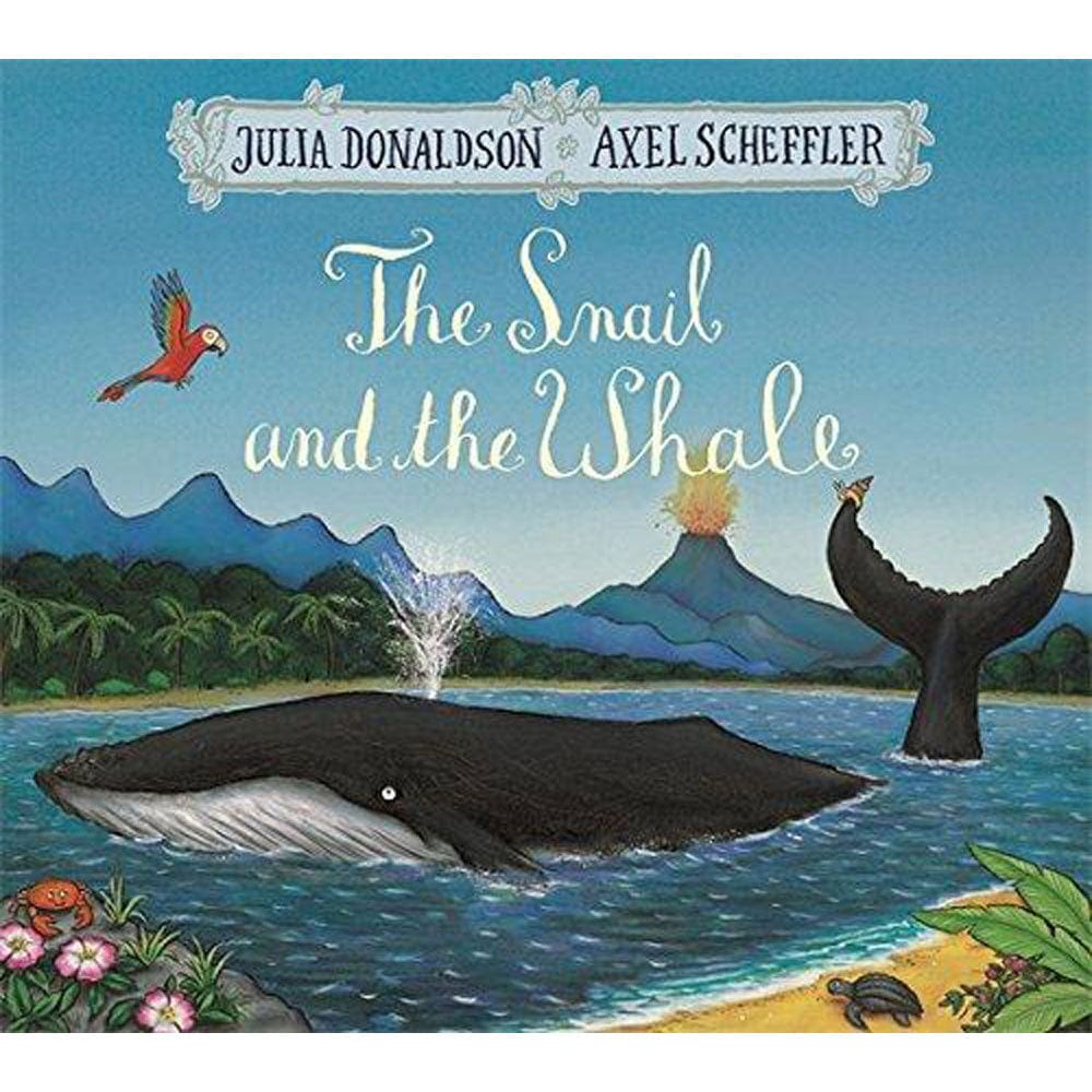 Raincoast Books board book The Snail and the Whale Board Book