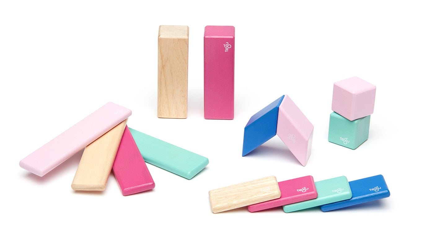 Tegu toy Blossom Tegu Magnetic Wooden Building Blocks 14 Pc Set