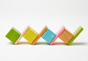 Tegu toy Tegu Magnetic Blocks Pocket Pouch - Tints