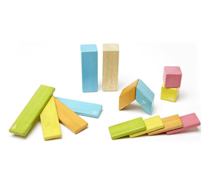 Tegu toy Tints Tegu Magnetic Wooden Building Blocks 14 Pc Set